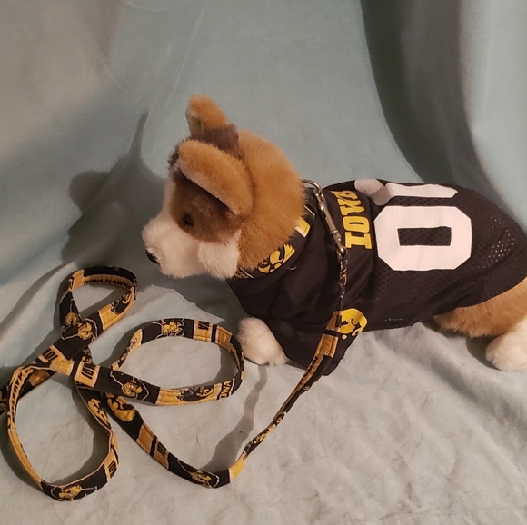 iowa hawkeye dog harness